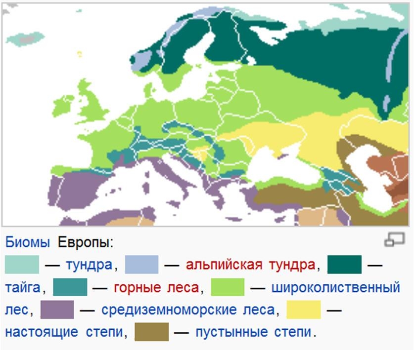 Биомы Европы