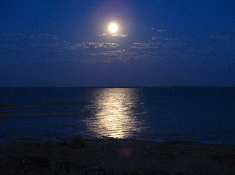 ликвидация потерь воды