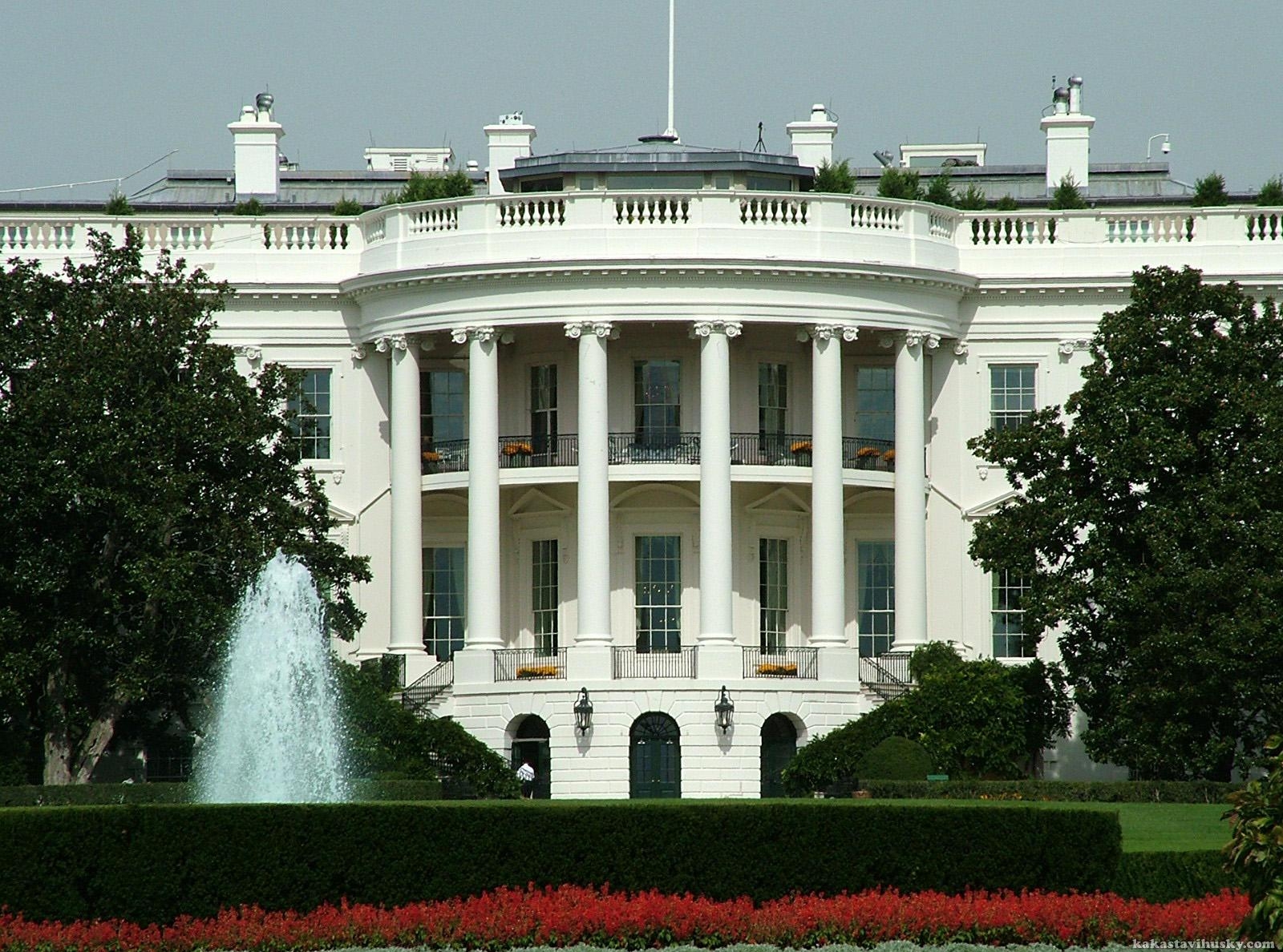 исполнительная власть США