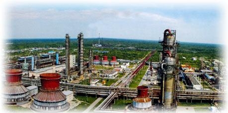 3.6 О развитии отраслей национальной экономики